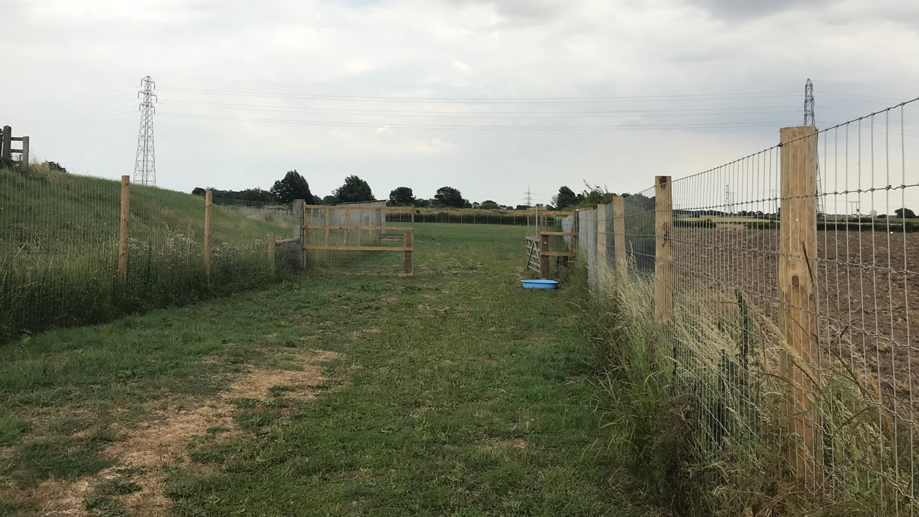 Muttlins Outdoor Exercise Paddock